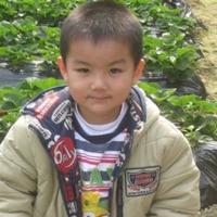 无敌小小蚊头像