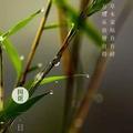 一生无悔2755头像