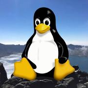 undefined的个人资料头像