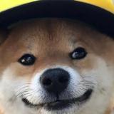 甜甜不会开车头像