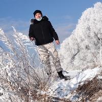 灬兔八哥灬头像