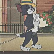 solidays的个人资料头像