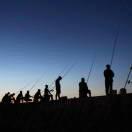 YT的个人资料头像