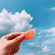 Lee995的个人资料头像