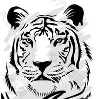 B虎头像