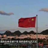 一颗小丶白杨头像
