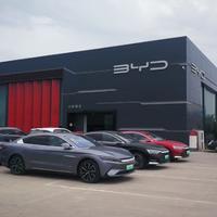 比亚迪苗青头像