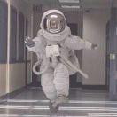 养乐多多多的个人资料头像