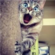 胡猎头顾问porer的个人资料头像