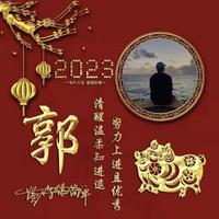 醉酒探戈2018头像
