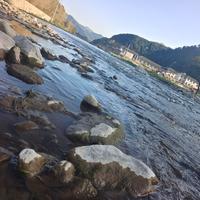 文采的游客头像