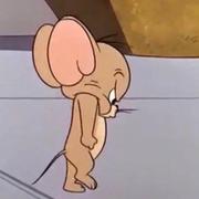 郑石头的个人资料头像