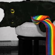 耶yi的个人资料头像