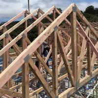 新西兰木工建筑专家头像