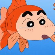 看我名字做尼的个人资料头像