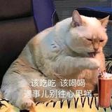 小陈儿头像