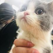 涅槃672的个人资料头像