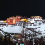 奇妙喜鹊4Fp头像