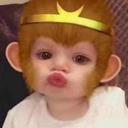 秋来花谢的个人资料头像