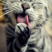 梦梦梦游计的个人资料头像