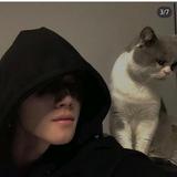 执着的小猫iGV头像