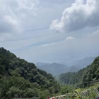 可靠奶酪Y8w头像