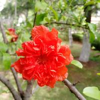 纸落云烟315头像