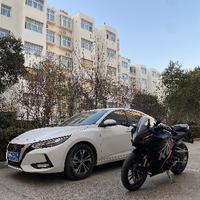 小秦不敢踩头像