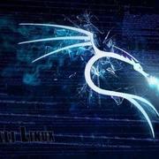 Moement的个人资料头像