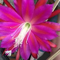 用户6227116971791头像