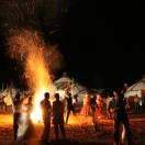 长江本尊的个人资料头像