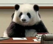高调的涵涵的个人资料头像