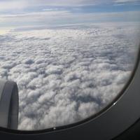 刺猬的优雅头像