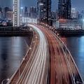 w永远的路头像