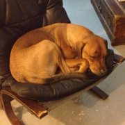 gogocrow的个人资料头像