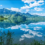 小大王文案馆头像