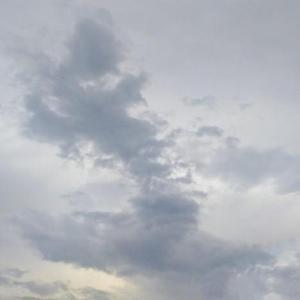 折翼天使9P7z头像