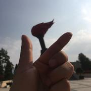 用户7380766672283的个人资料头像