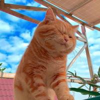 小明8772530334065头像