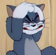 番茄肥牛的个人资料头像