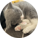 NullPointException的个人资料头像