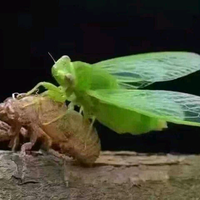 用户380204971780头像