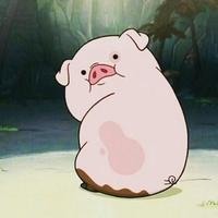 潇洒活泼山雀8v头像