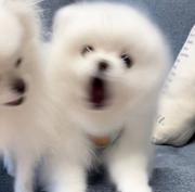 wsx_ww的个人资料头像