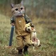 这个世界好魔幻的个人资料头像