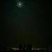 怪猫的个人资料头像