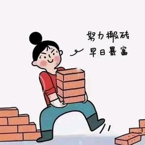 好好studing头像