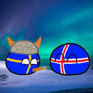 一只在看极光的冰岛球头像