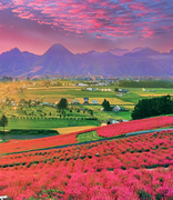 superBar的个人资料头像