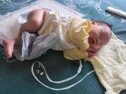 Lu先生的个人资料头像